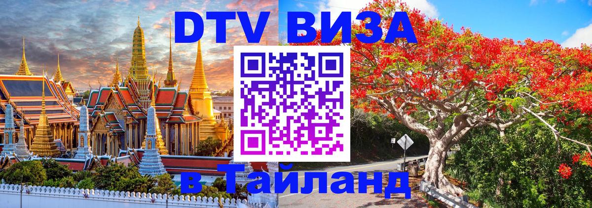Сколько стоит DTV виза — актуальные цены, оформление даже без документов - Калуга 